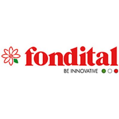 Fondital (Италия)